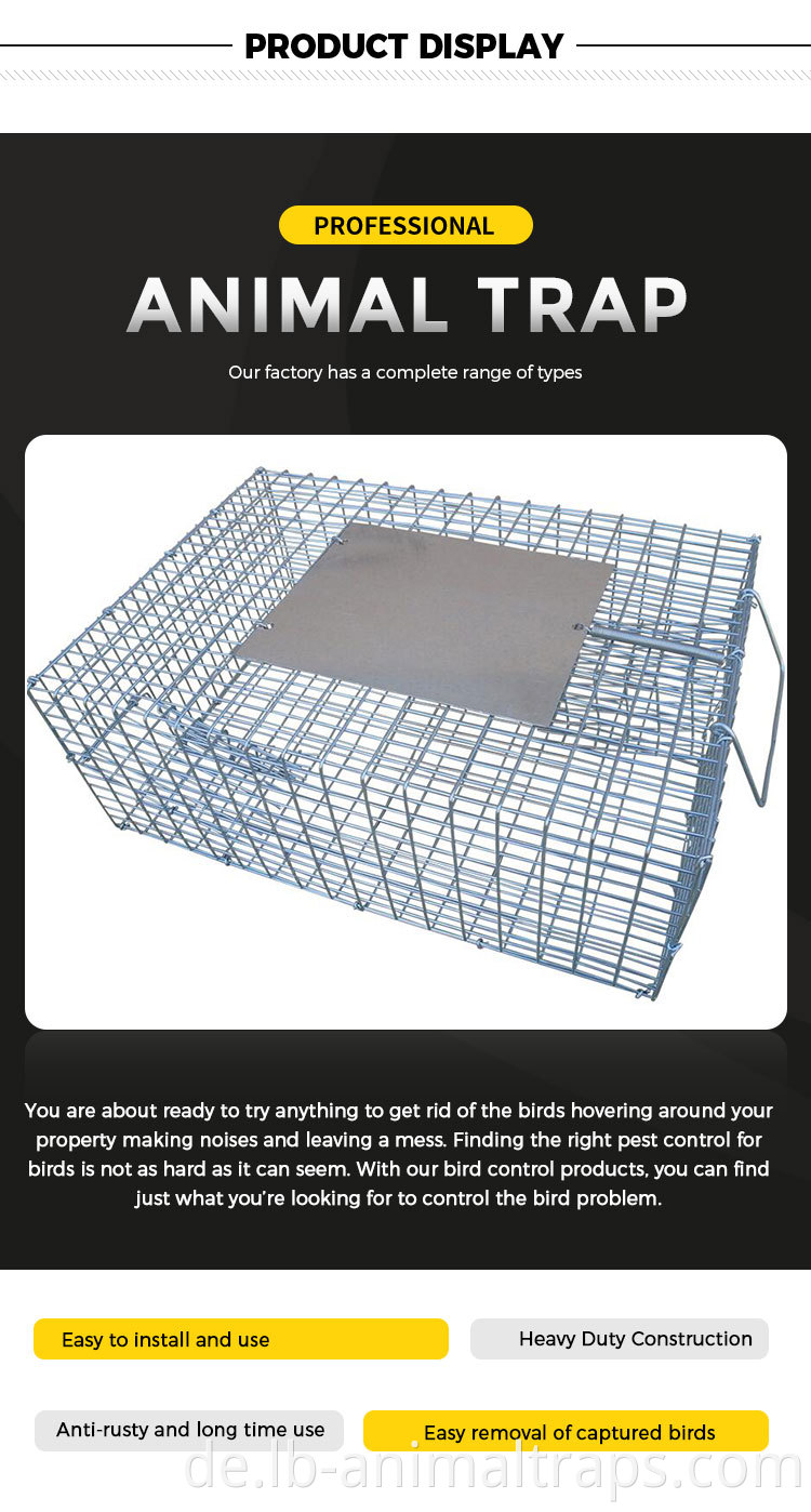 Foldable Humane Bird Trap Cage